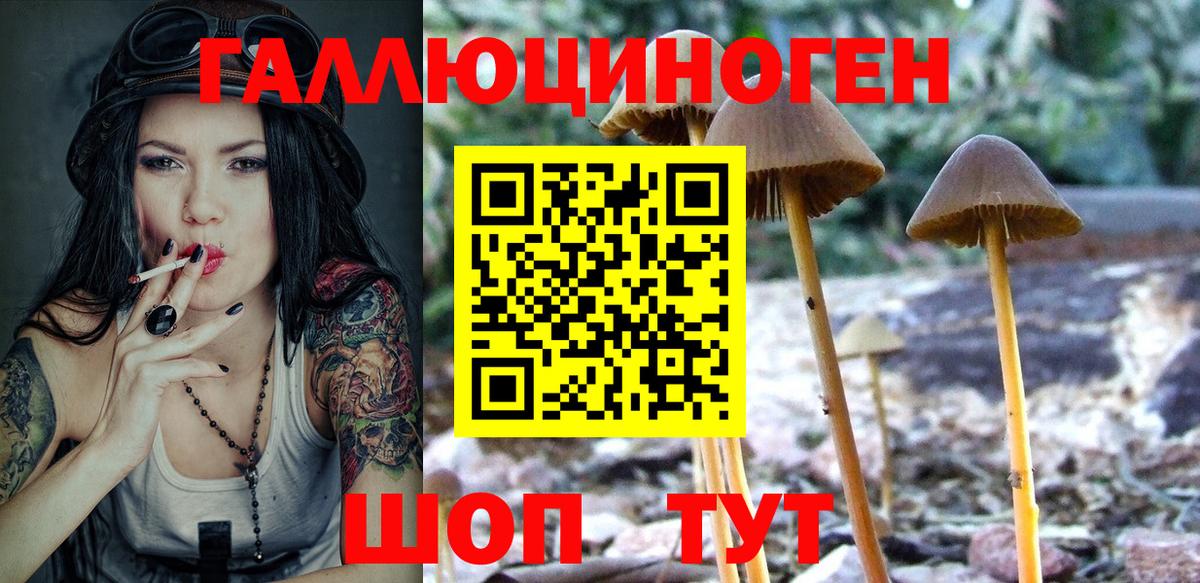 Златоуст  Псилоцибиновые грибы мицелий  Галлюциногенные грибы Psilocybine cubensis  Вход с VPN 