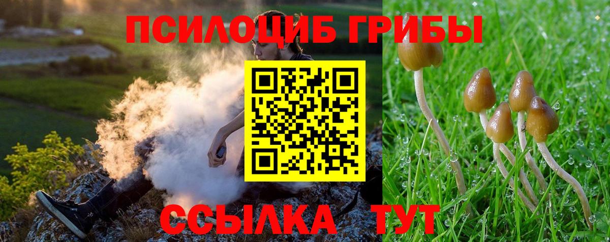 Галлюциногенные грибы мухоморы Златоуст